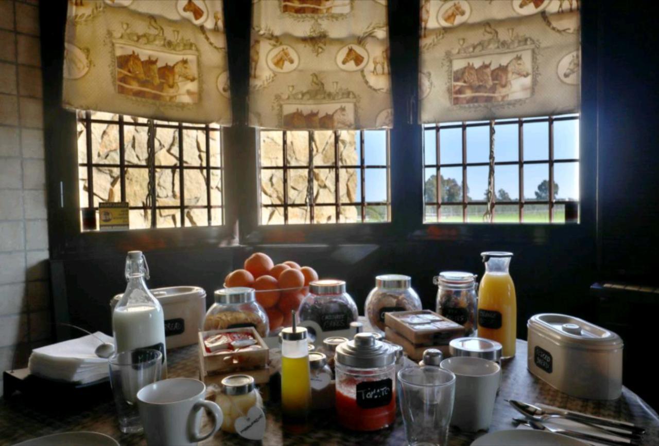 Bed and Breakfast Casa Ecuestre Carmen Martinez Fuente Palmera Esterno foto